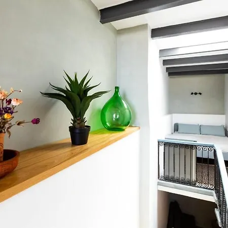 Archbishop Loft With Terrace. 아파트
